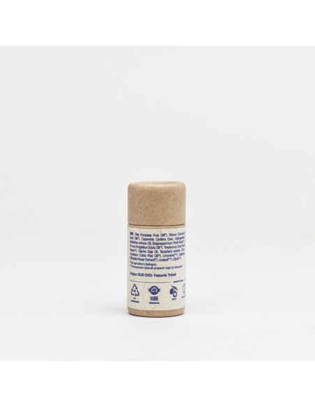 Balsamo labbra stick BIO