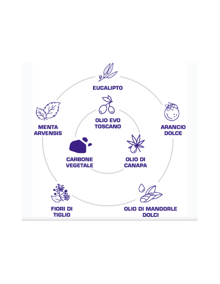 Shampoo Solido con Estratti BIO