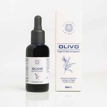 Extrakt aus BIO-Olivenblättern 2