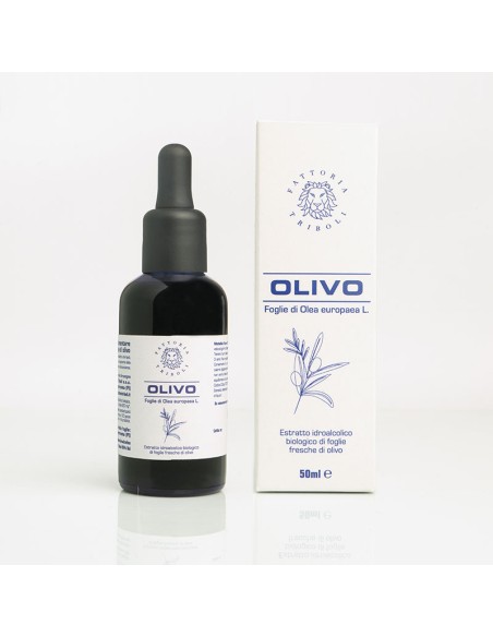 Extrakt aus BIO-Olivenblättern