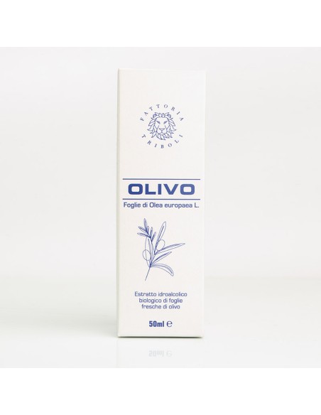 Estratto di Foglie di Olivo BIO